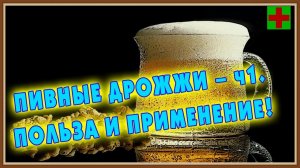 ПИВНЫЕ ДРОЖЖИ - ПОЛЬЗА И ПРИМЕНЕНИЕ