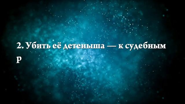 К чему снится лось - Онлайн Сонник Эксперт смотреть онлайн