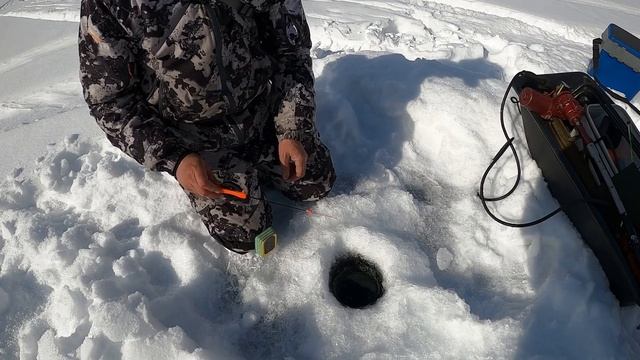 Огромные Стаи рыбы, крупные ОКУНИ и ЛЕНКИ разгибают крючки, в поисках трофеев с подводной камерой. смотреть онлайн