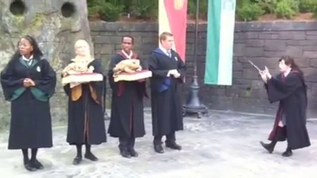 Harry Potter Theme by Hogwarts Choir смотреть онлайн