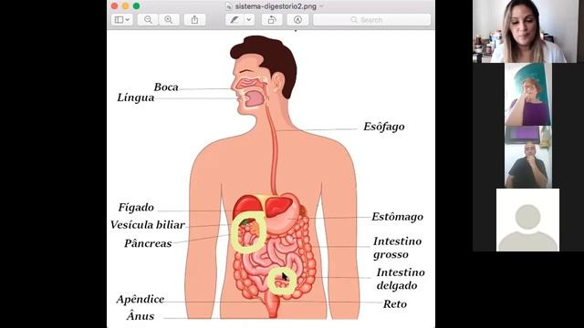 Estratégia Alimentar 22/11 смотреть онлайн