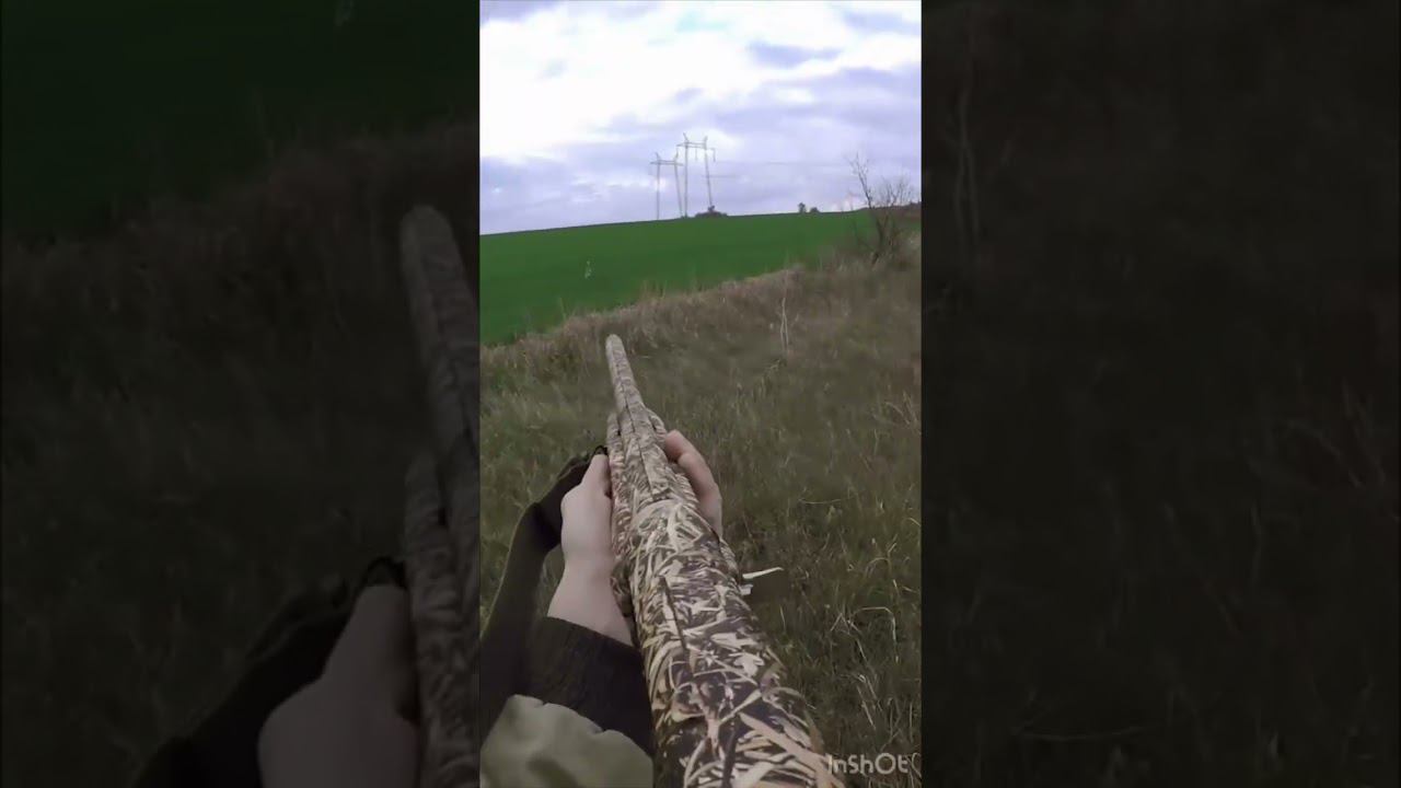 Охота на зайца #shortvideo #охота #охотаназайца #шортс #shorts #short #охотавидео #maxhunter смотреть онлайн