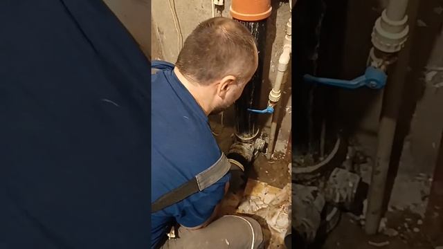 Сантехработы в квартире (Немига, Минск). День 1. Заезд. Анаэробные бактерии и крыса в канализации. смотреть онлайн