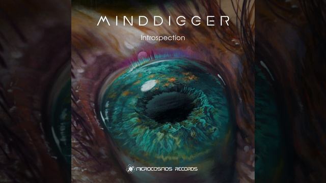 Introspection смотреть онлайн