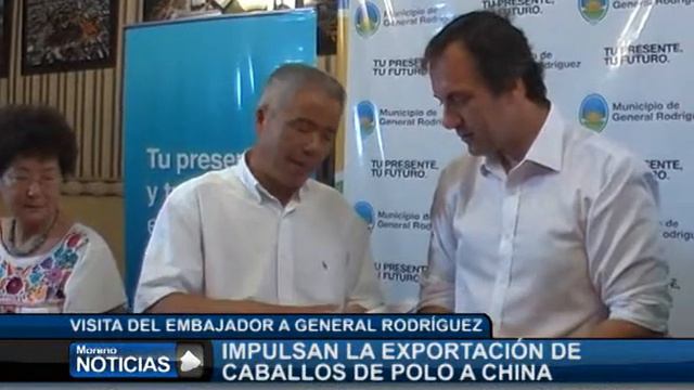 Impulsan la exportación de caballos de Polo a China María del Carmen Alarcón смотреть онлайн