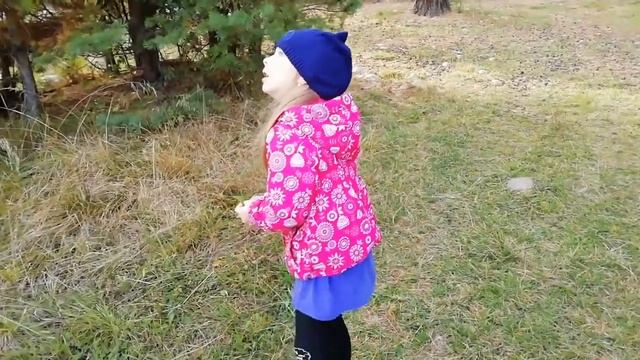 В лесу. В поиске веточек и листиков для поделки. смотреть онлайн