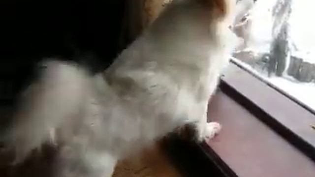 Alarm смотреть онлайн