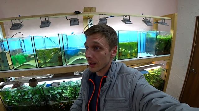 Огромный минус сетки смотреть онлайн