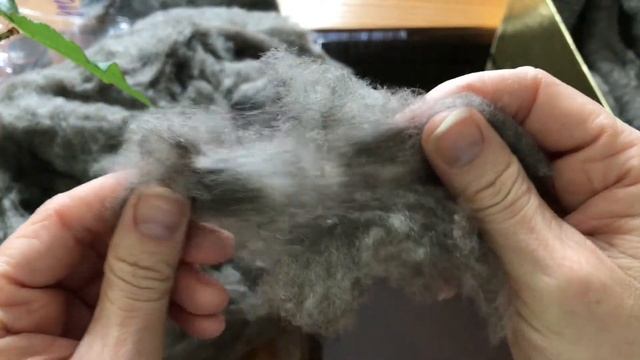 Серый тибетский як для прядения смотреть онлайн