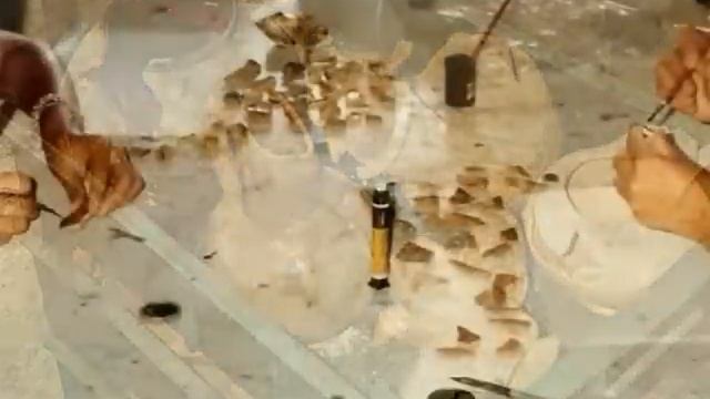 Portugal: Mertola And Surroundings.