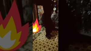 цыганские танцы   чётко