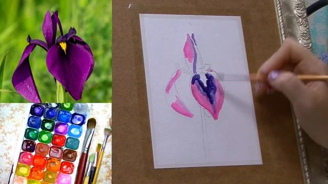 Как нарисовать полевой цветок ирис. смотреть онлайн