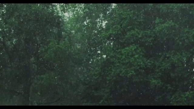 Звук Дождя в Палатке Без Грозы/ Шум дождя без грома для сна, отдыха и релаксации смотреть онлайн