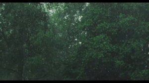 Звук Дождя в Палатке Без Грозы/ Шум дождя без грома для сна, отдыха и релаксации