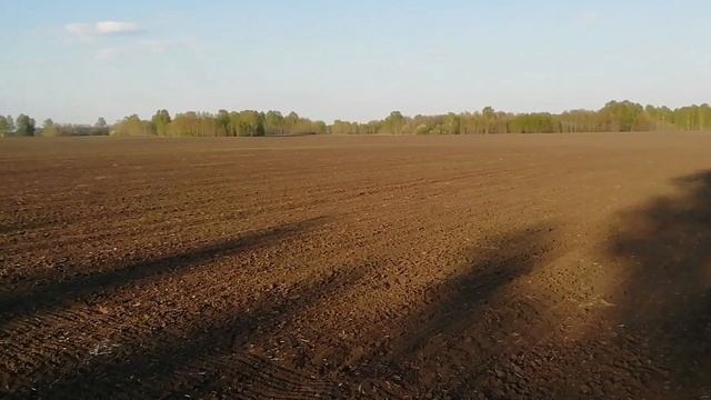 Жизнь на болоте продолжается ??вывела утят, Бобры продолжают строить хатку ?. смотреть онлайн