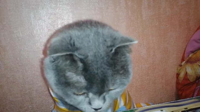 Обзор на кликбейтные киндеры космикс Winx(Винкс) смотреть онлайн