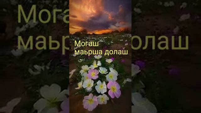Красота на лакском смотреть онлайн