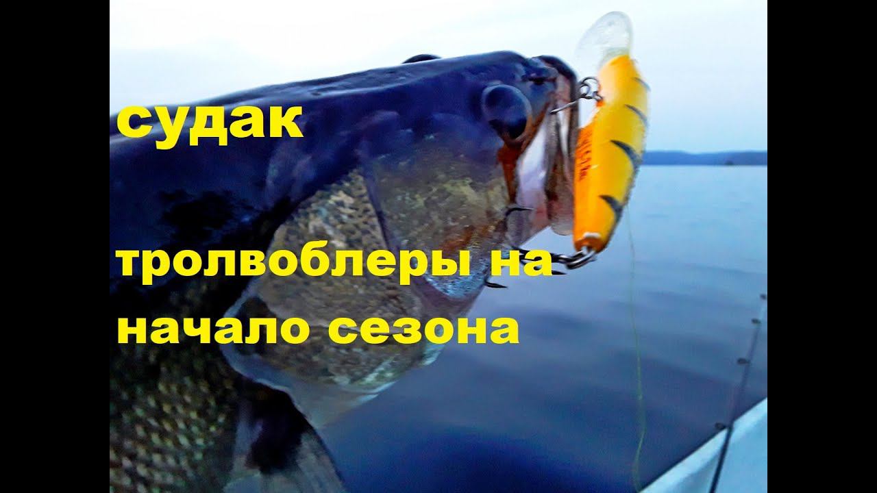 Троллинг судака начало сезона смотреть онлайн
