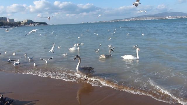 #историиизжизни Надо было сдать её в полицию