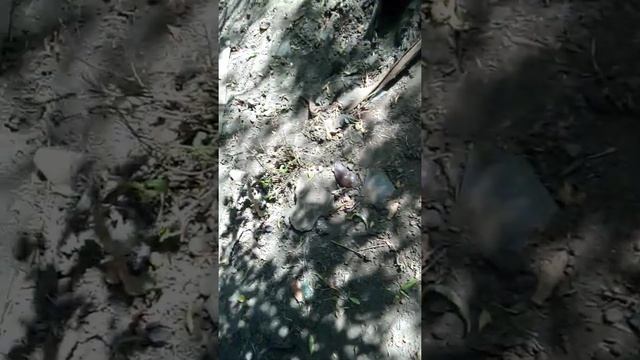 Рыбалка на хищника и нашел место для магнитной рыбалки смотреть онлайн