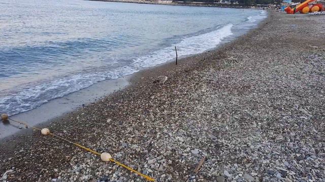 Новомихайловский пляж 6 августа 21 г 5 часов 45 иинут смотреть онлайн