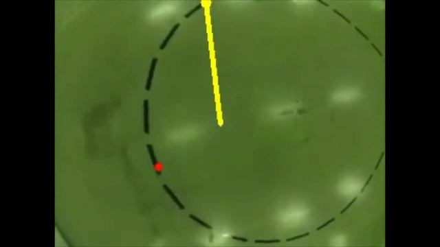 COEX Clover Autonomous Flights Compilation