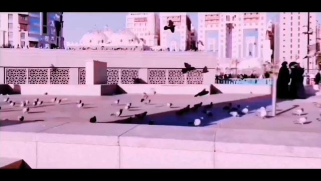 Medina An-Nabavi Umrah Haj Best Azan Медина Ан-Набави мечеть Умра Хадж Лучший Азан Мадина Набавий А