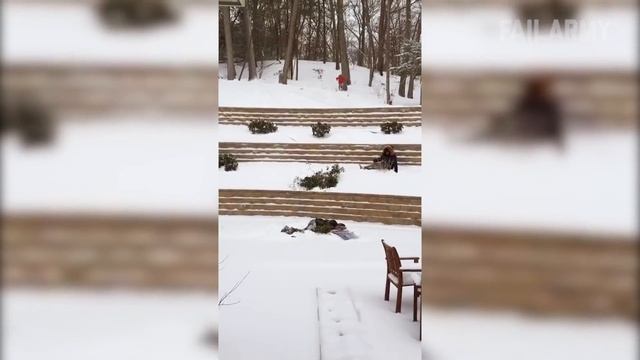 WINTER is the Fail Time Of The Year! - Funny Snow Fails | FailArmy смотреть онлайн