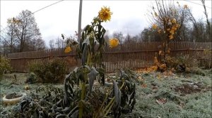 Бюджетный навес для машины за 6 300 руб ( весь процесс от А до Я)