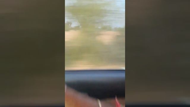 Tavera top speed смотреть онлайн