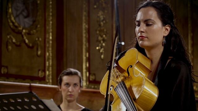 Vivaldi | Cello concerto in B minor RV 424 (Allegro) | Jesenka Balic Zunic Kore Orchestra