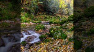 Поль Мориа (мог ли это быть я) (отдых души)