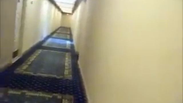 hollywood beach resort haunted hallway смотреть онлайн