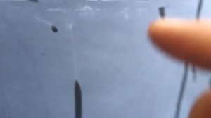 Подготовка и покраска  ваз 2107 в первый раз