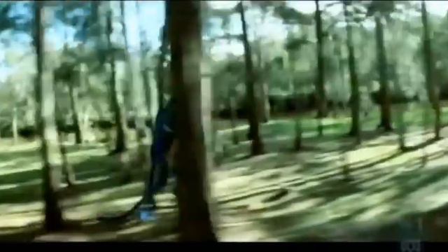 My music for Avatar 2: the forest смотреть онлайн