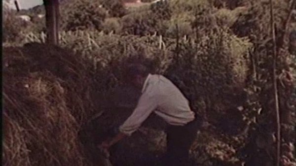 Valeu Valeu nu turna..avi