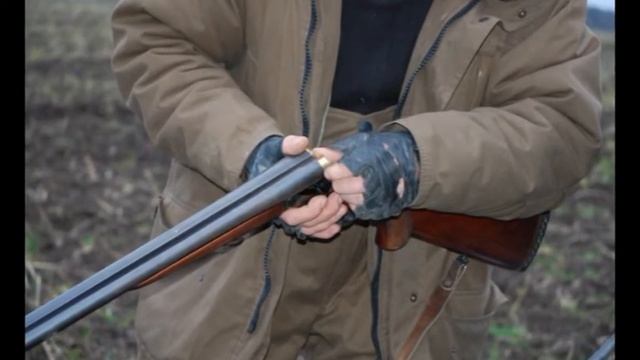 Обзорная охота 2009 смотреть онлайн