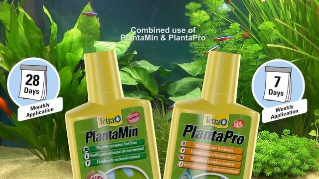 Beautiful water plants with Tetra PlantaPro, PlantaMin and CO2 Plus 1 смотреть онлайн
