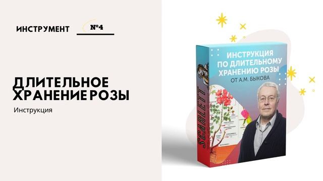 Цветочный бизнес план. Шаблоны и инструменты для цветочного предпринимателя смотреть онлайн
