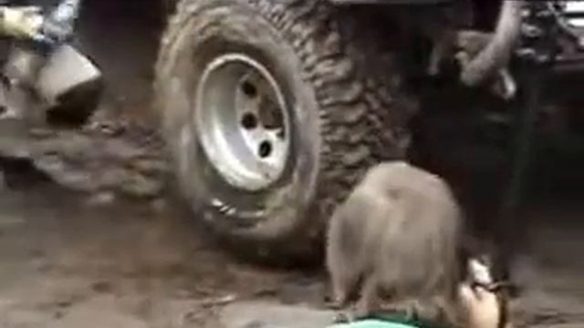 Отличный способ забортировать колесо смотреть онлайн