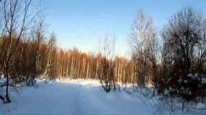 Самодельная мотособака. Покатушка на самодельной мотособаке