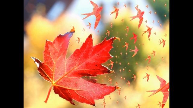 Николай Караченцов 