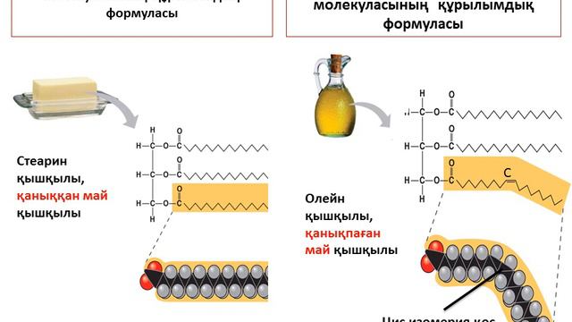 Биология 10кл №7 смотреть онлайн