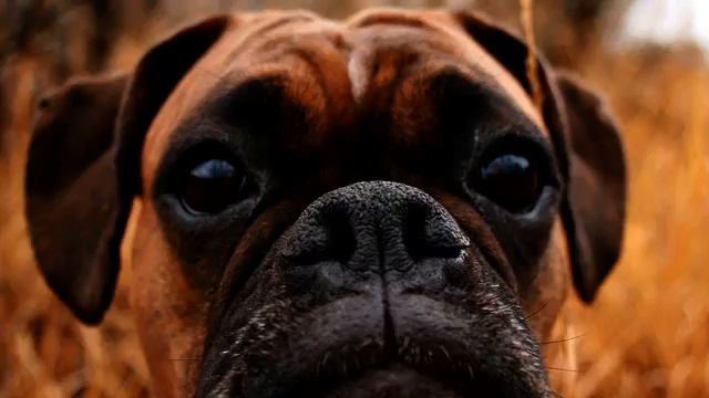 Слушать самую лучшую песню и видео - онлайн смотреть... смотреть онлайн