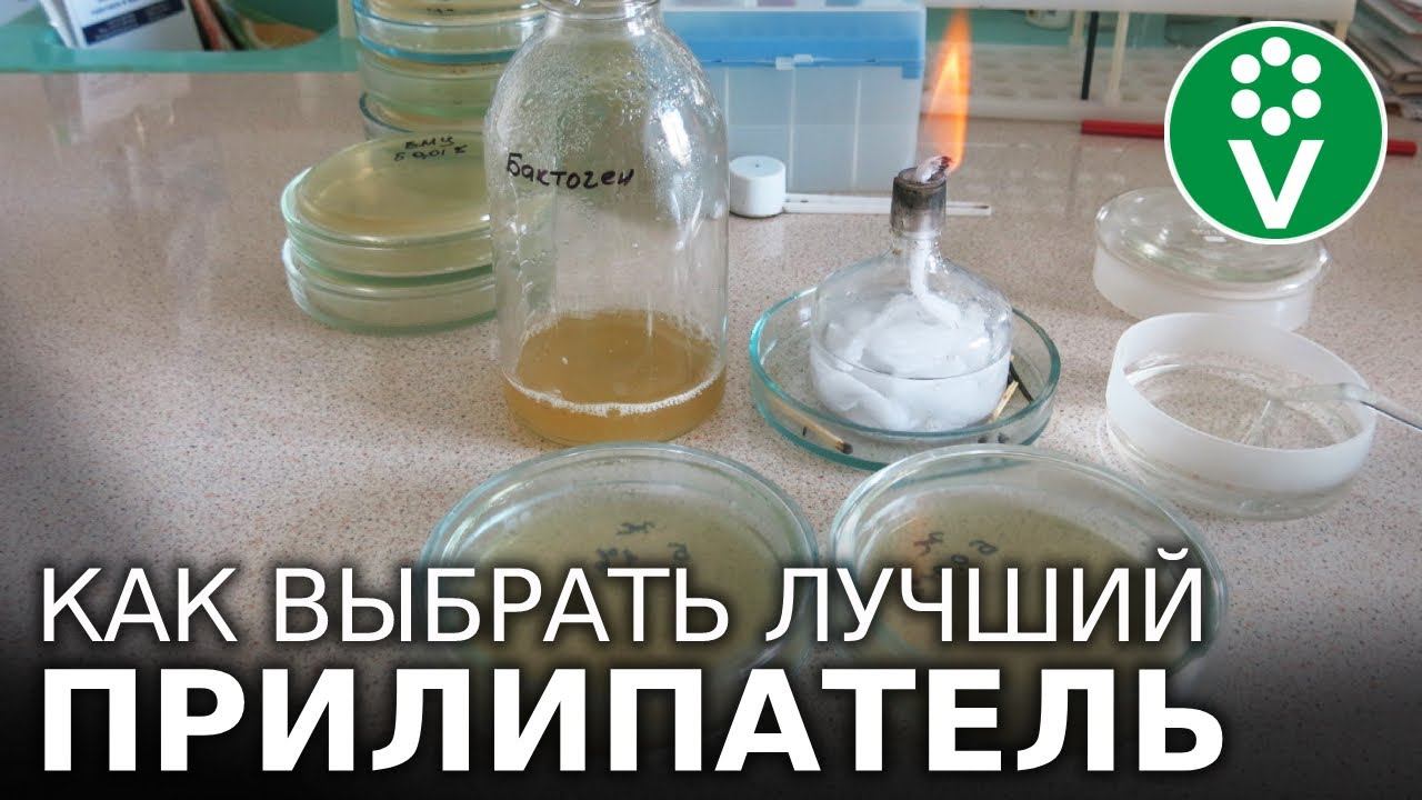 ВЫБИРАЕМ САМЫЙ ЭФФЕКТИВНЫЙ ПРИЛИПАТЕЛЬ! ПОСМОТРИТЕ наш ЭКСПЕРИМЕНТ чтобы не ошибаться при покупке! смотреть онлайн