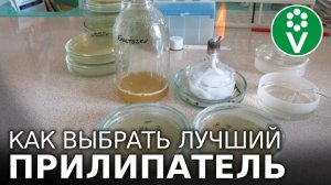 ВЫБИРАЕМ САМЫЙ ЭФФЕКТИВНЫЙ ПРИЛИПАТЕЛЬ! ПОСМОТРИТЕ наш ЭКСПЕРИМЕНТ чтобы не ошибаться при покупке!