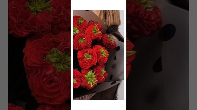 Новинка! Самая необычная пионовидная алая роза в стильном оформлении смотреть онлайн