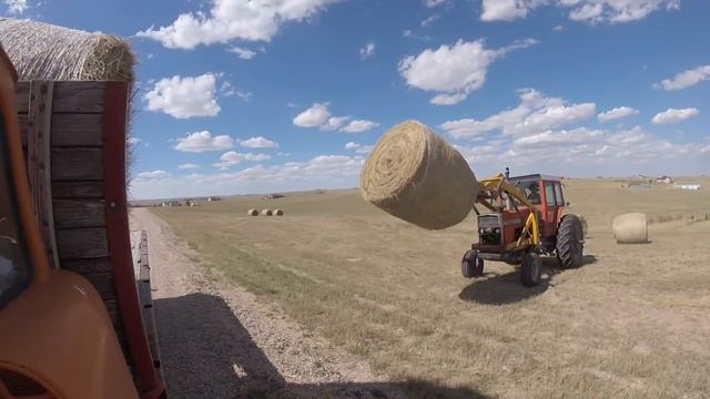 Big day moving hay! смотреть онлайн