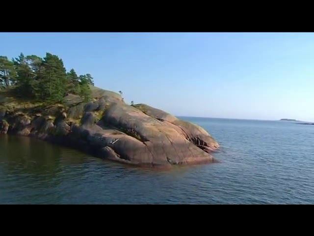 Финский катер Yamarin 79 Day Cruiser