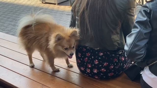 VLOG: покупаю вещи на рынке / что делать после университета? смотреть онлайн